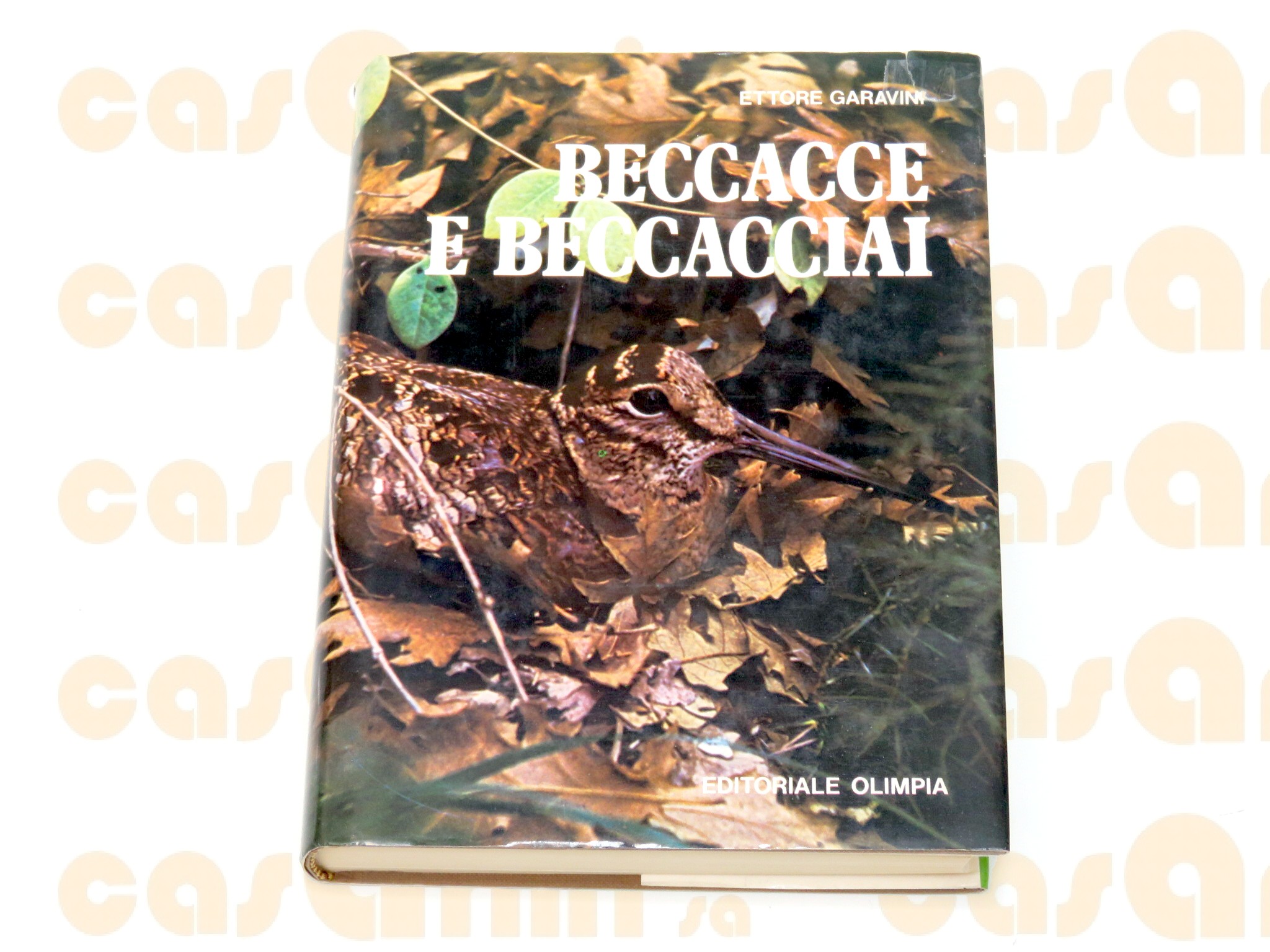  Beccacce e beccacciai, di Ettore Garavini, Editoriale Olimpia 